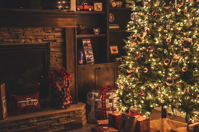 Bah, Humbug: Inflation Drives Christmas Tree Prices Up